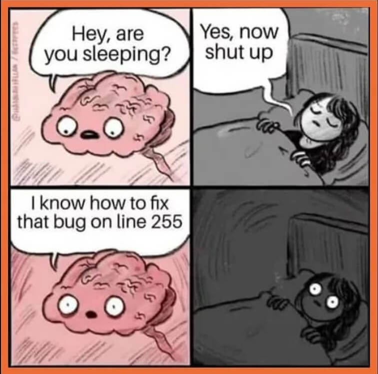 Programmers while Sleeping
